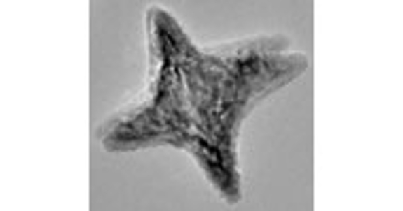 A microscopic image from Lyudmila Bronstein's group showing the formation of inorganic nanoparticles.