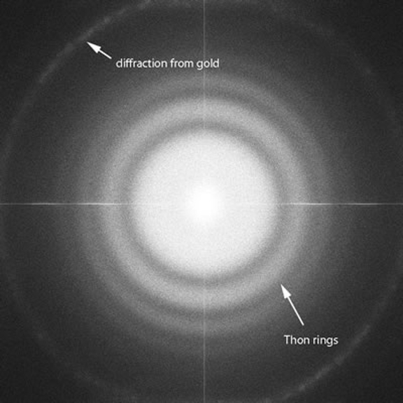 An image showing the full frame transfer (FFT) of a nominally magnified image at 100,000x magnification.