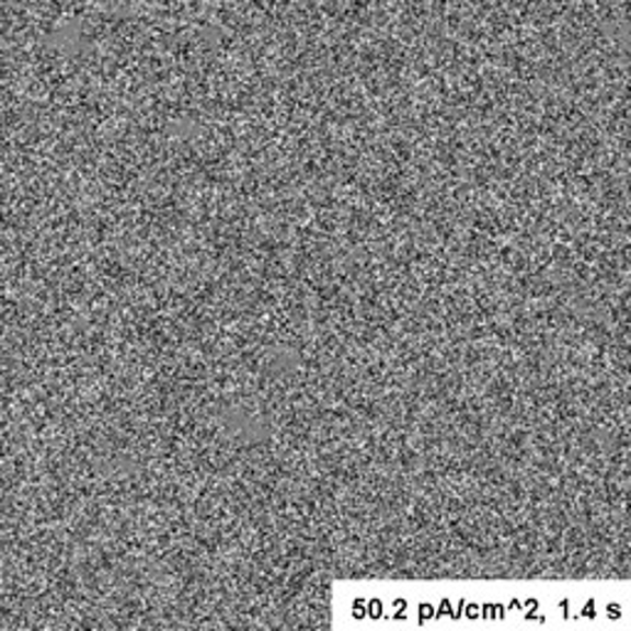 An image taken with the JEOL JEM 1010 and the UltraScan 890 camera at 50.2 pA/cm^2, 1.4s, showing the artifacts having disappeared.