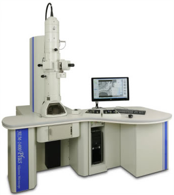 The JEOL JEM 1400plus microscope available through the Electron Microscopy Center (EMC).