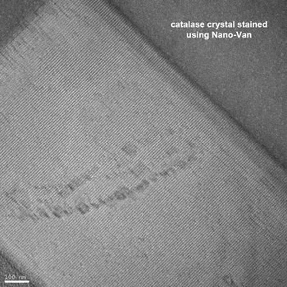 An image of crystal stained catalase using Nano-Van.