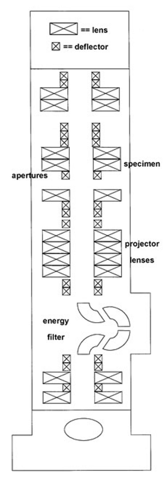A diagram of an electron microscope displaying the location of the lenses, projector lenses, deflectors, apertures, specimen, and energy filter.