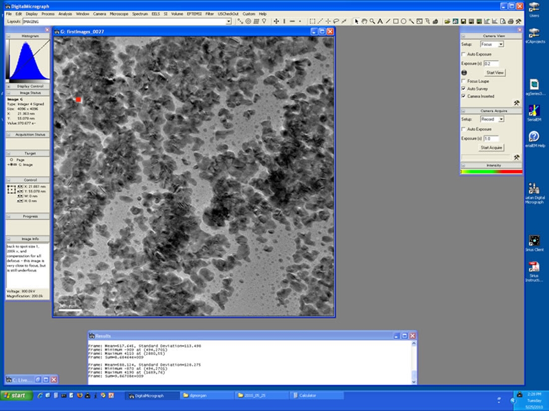 A microscopic image displaying in its default view within Gatan's DigitalMicrograph (DM) software.