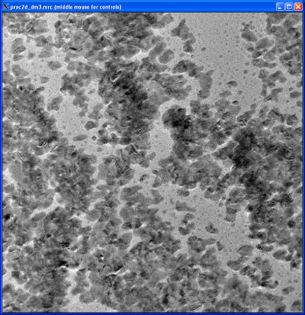 A microscopic image after being converted to MRC format, displaying in its default view within the v2 or boxer software.