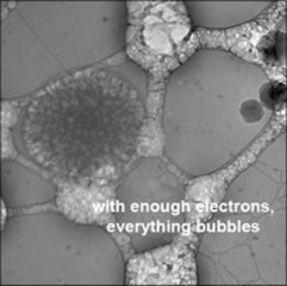 An image of a biological sample with enough electrons causing everything to bubble.