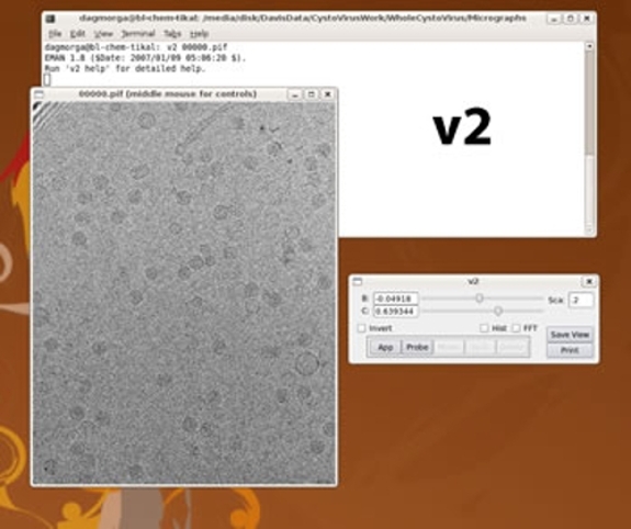 A screenshot of the EMAN1 software using the v2 display program to examine a dm3 image.