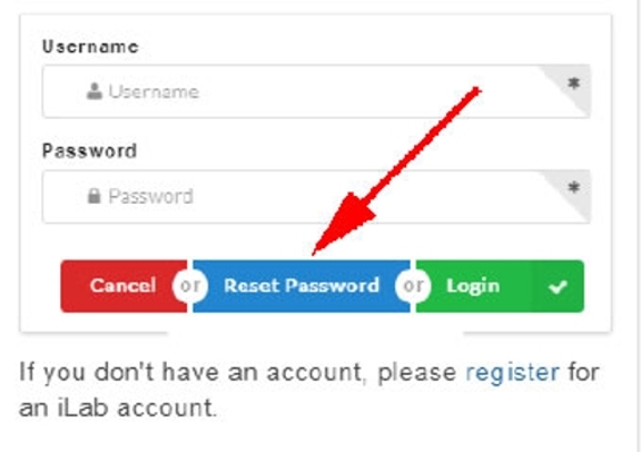 A screenshot of the login pop-up window, displaying the location of the Reset Password button.