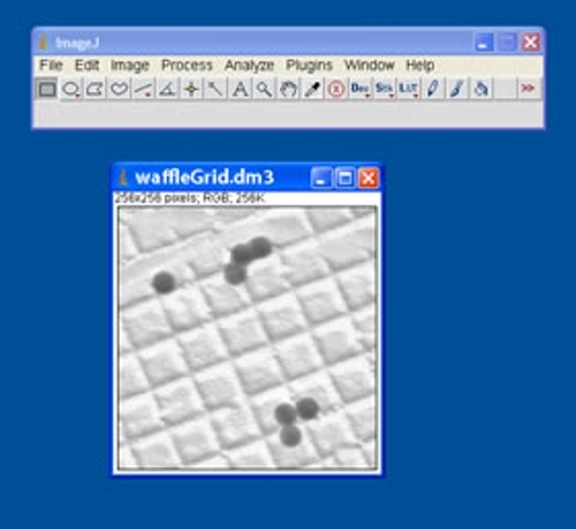 A screenshot of the ImageJ program being used to display dm3 files.