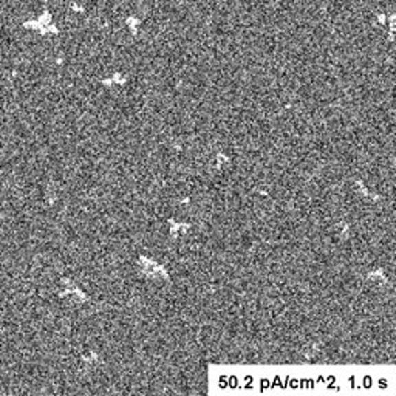 An image taken with the JEOL JEM 1010 and the UltraScan 890 camera at 50.2 pA/cm^2, 1.0s, showing the white artifacts.