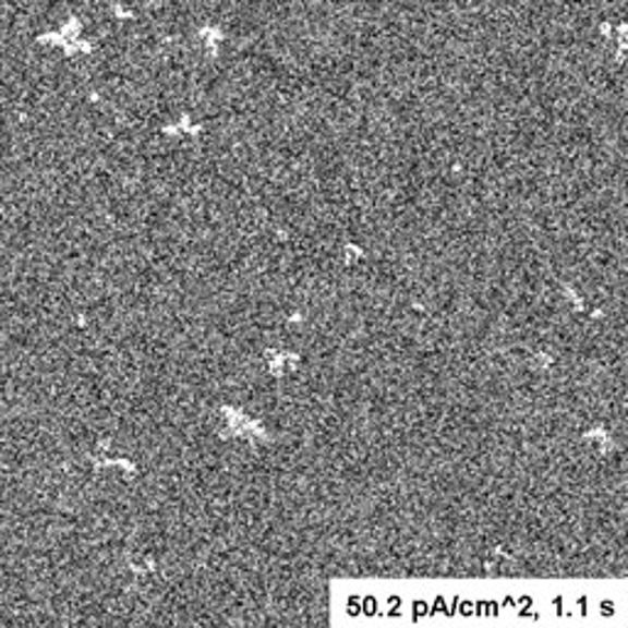 An image taken with the JEOL JEM 1010 and the UltraScan 890 camera at 50.2 pA/cm^2, 1.1s, showing the white artifacts.