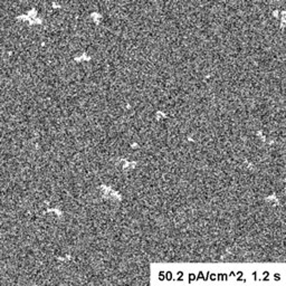 An image taken with the JEOL JEM 1010 and the UltraScan 890 camera at 50.2 pA/cm^2, 1.2s, showing the white artifacts.