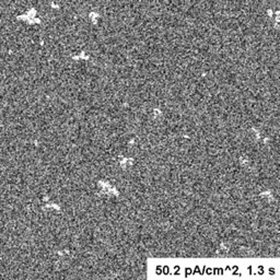 An image taken with the JEOL JEM 1010 and the UltraScan 890 camera at 50.2 pA/cm^2, 1.3s, showing the white artifacts.