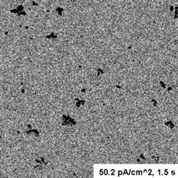 An image taken with the JEOL JEM 1010 and the UltraScan 890 camera at 50.2 pA/cm^2, 1.5s, showing the return of the black artifacts.