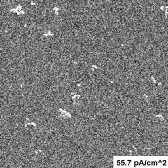 An image taken with the JEOL JEM 1010 and the UltraScan 890 camera at 84.2 pA/cm^2, showing the appearance of the white artifacts.
