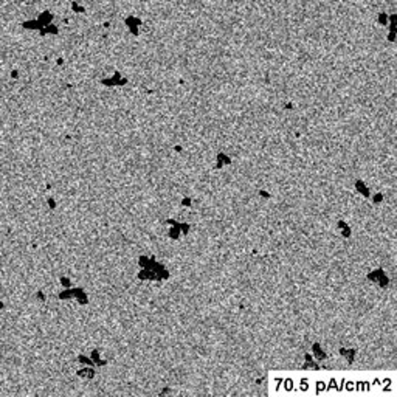 An image taken with the JEOL JEM 1010 and the UltraScan 890 camera at 70.5 pA/cm^2, showing the presence of the black artifacts.