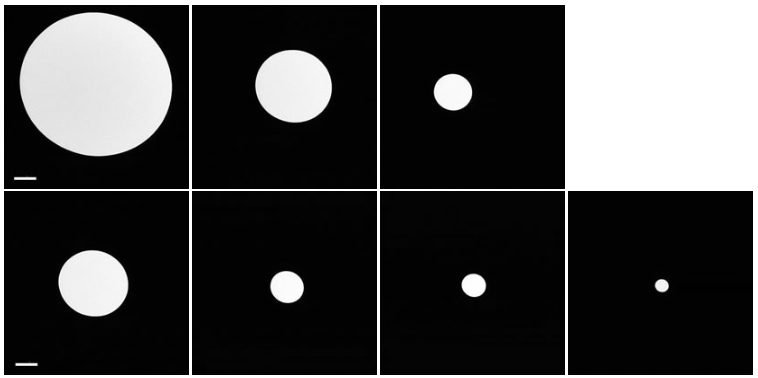 This image shows the microscope's beam being focused through seven differently sized apertures.
